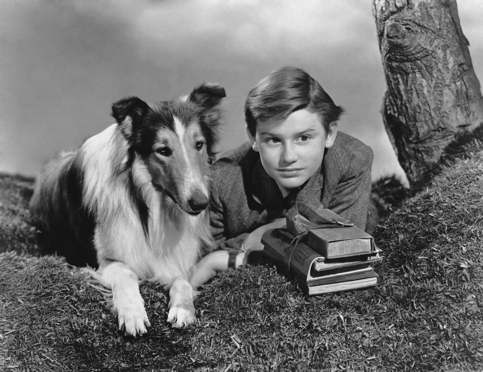 Lassie Come Home