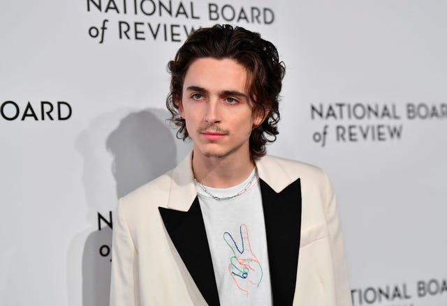 100+] Timothée Chalamet Wallpapers