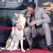 Will Smith Hand and Footprint Ceremony at Grauman's Chinese Theatre