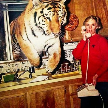 actress and activist tippi hedren at home in acton, california, 1994