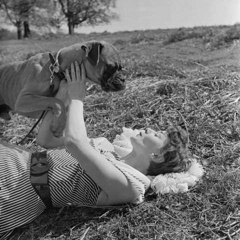 old hollywood stars before they were famous audrey hepburn and a dog