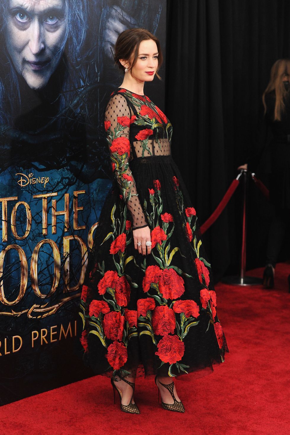 "into the woods" world premiere   inside arrivals