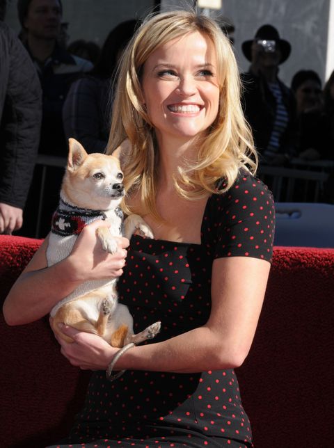 Reese Witherspoon Hollywood Walk Of Fame Star Induction Ceremony