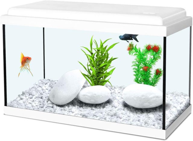 Acuario infantil