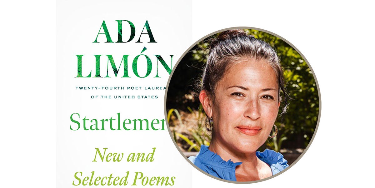 ada limon, startlement ada limon, startlement