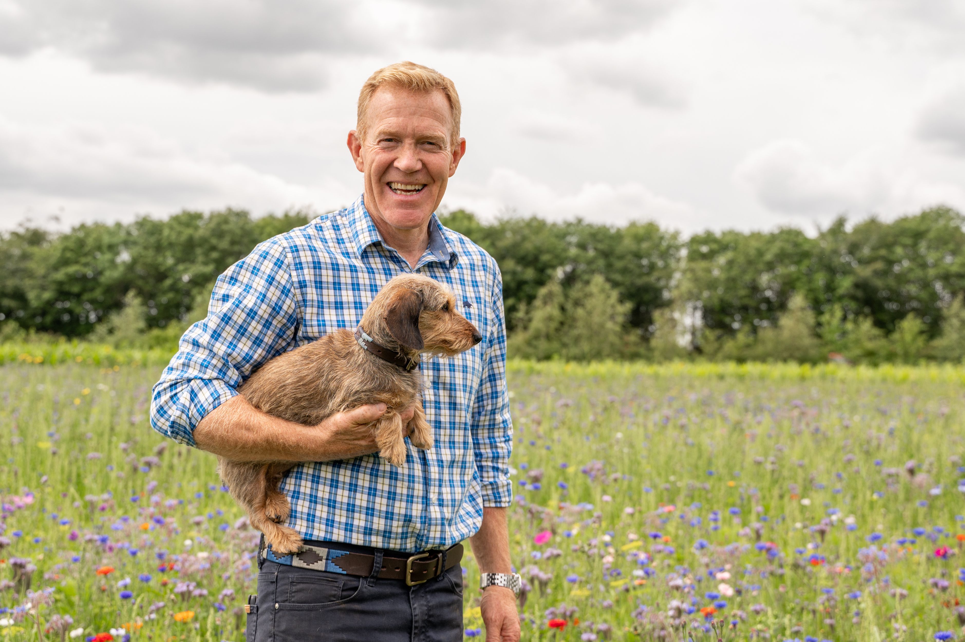 Countryfile Star Launches Wildflower Mixes For Shady And Small Gardens