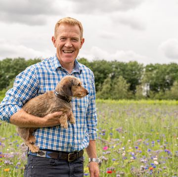 adam henson standing in a wildflower meadow with his dog