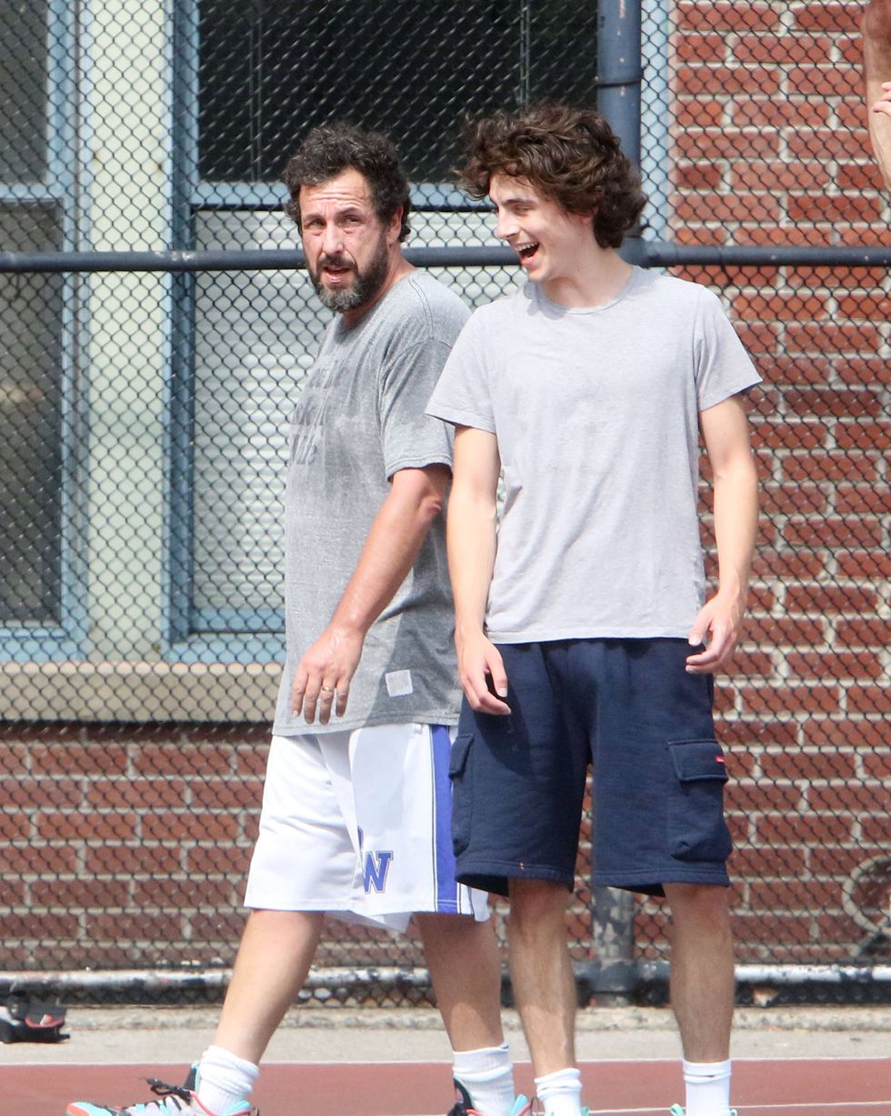 adam sandler and timothee chalamet