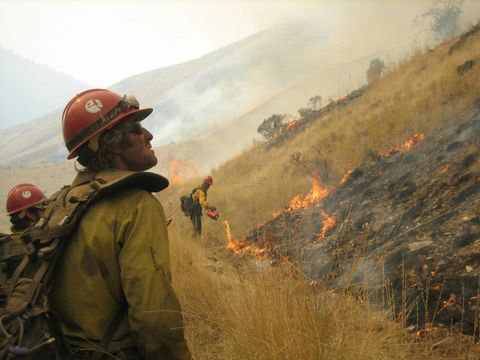wildland firefighting wildfires hotshotters california
