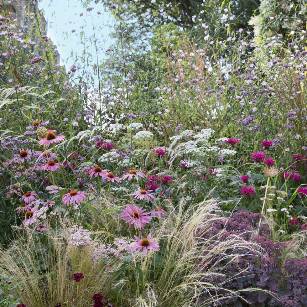 How to add colour to your garden: 10 planting tips to help you play ...