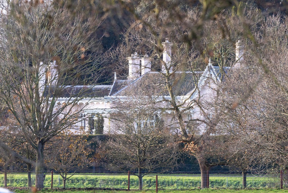 imagen exterior de adelaide cottage