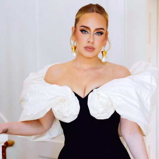 Adele Gives Up Alcohol, But Once She Stripped Down To Her Bra