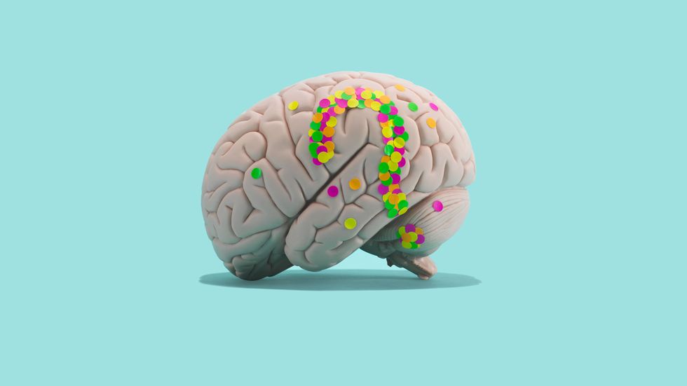 a brain representing adhd in midlife