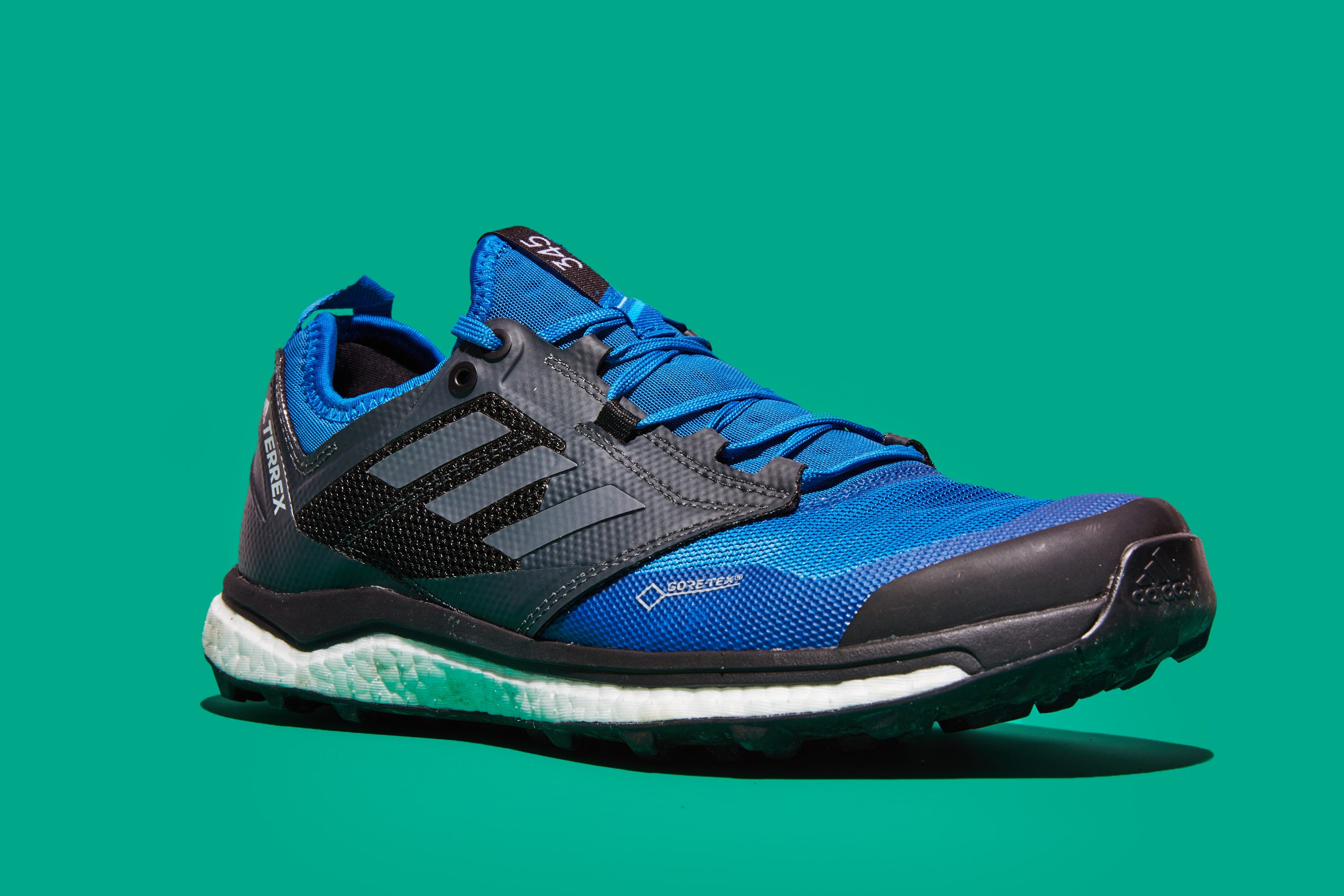 Adidas Terrex GTX