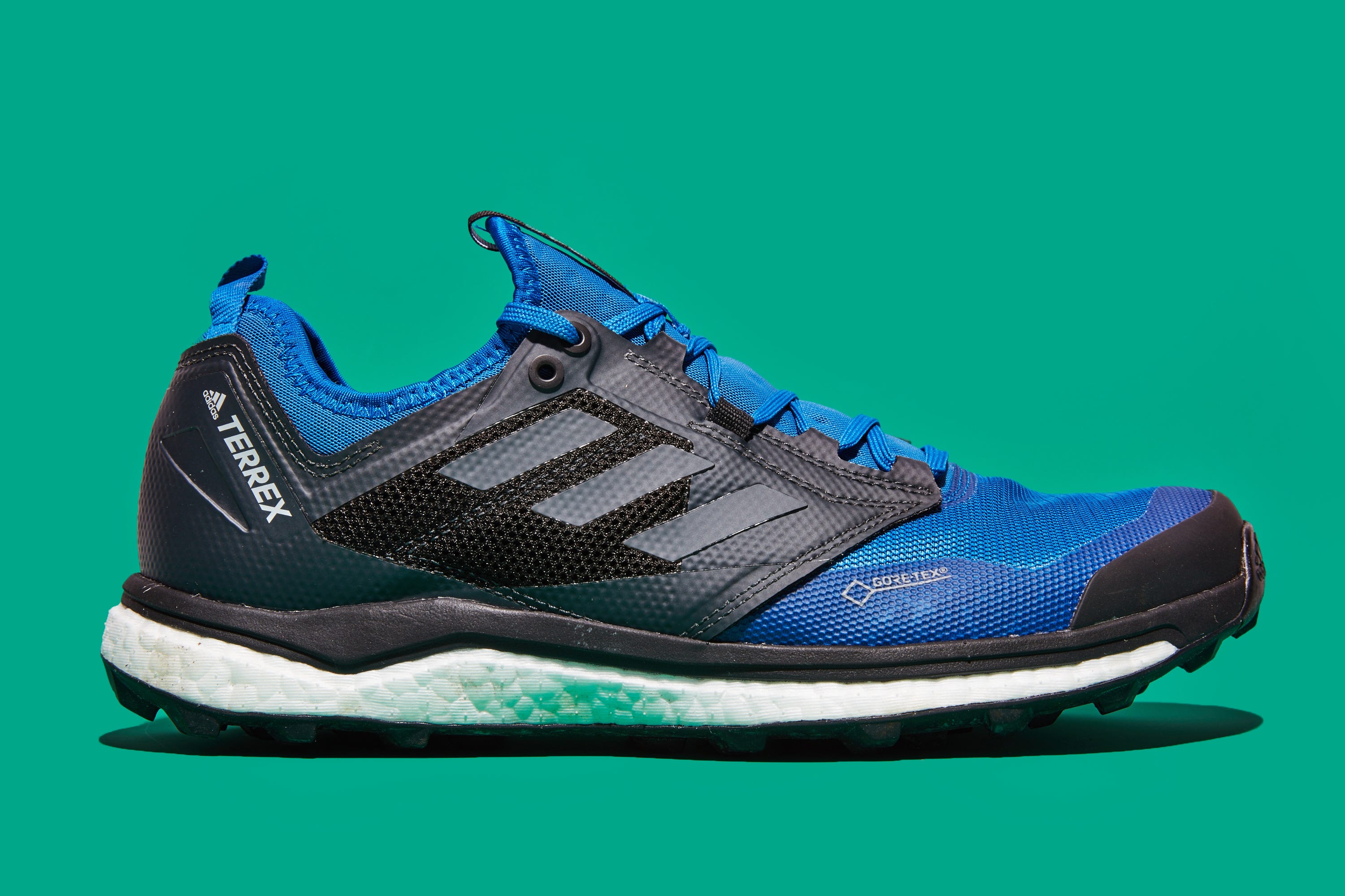 Adidas Terrex GTX