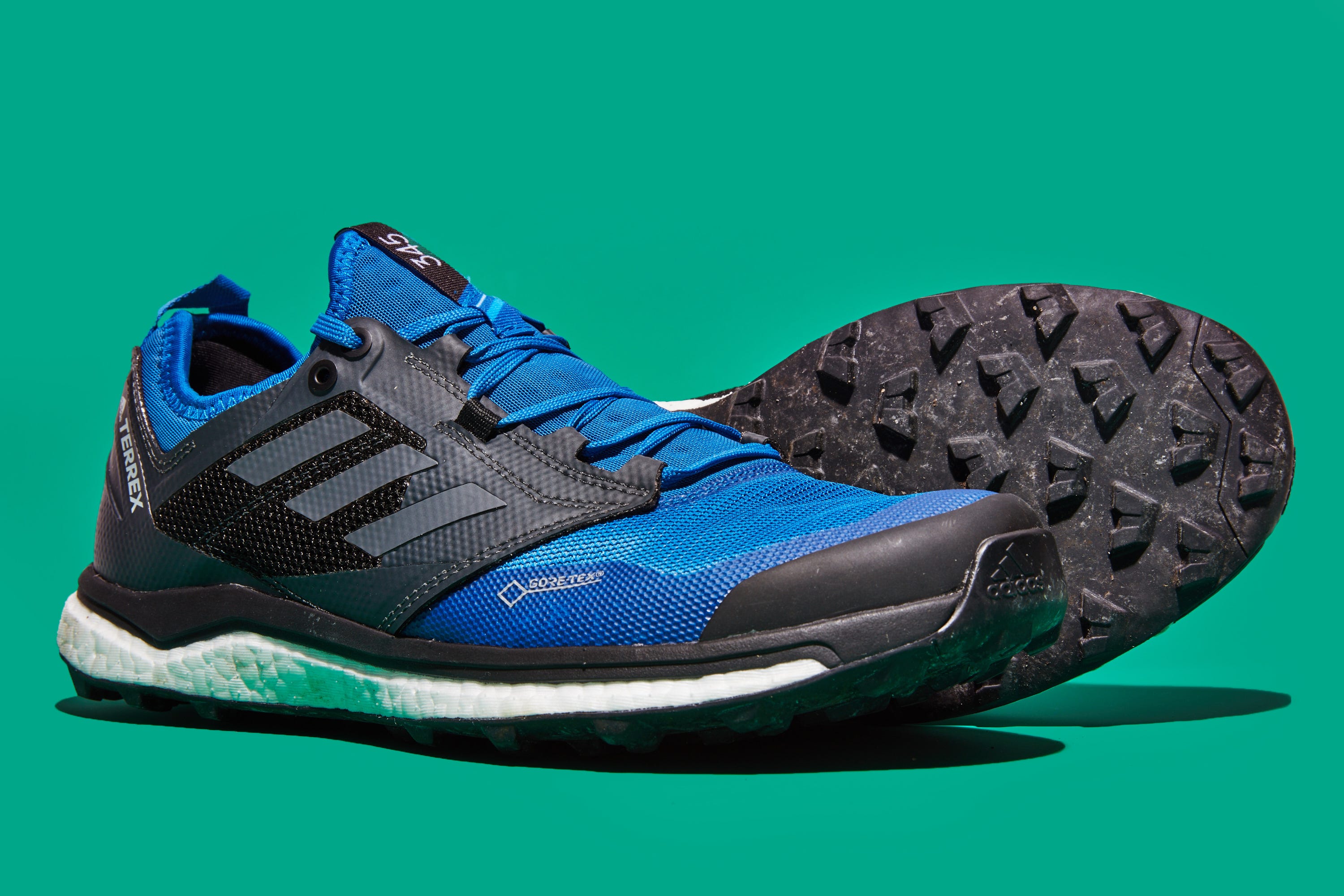 Adidas Terrex GTX