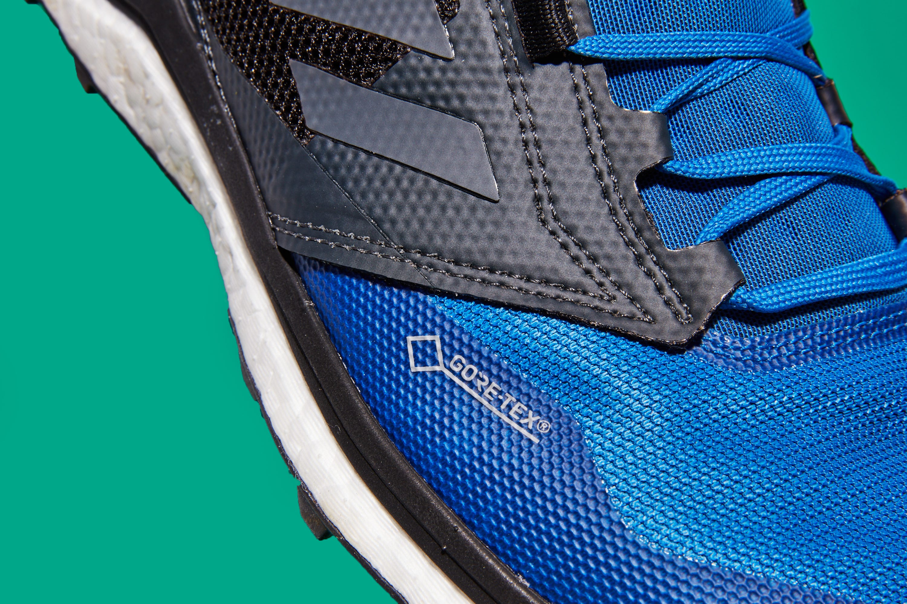 Adidas Terrex GTX