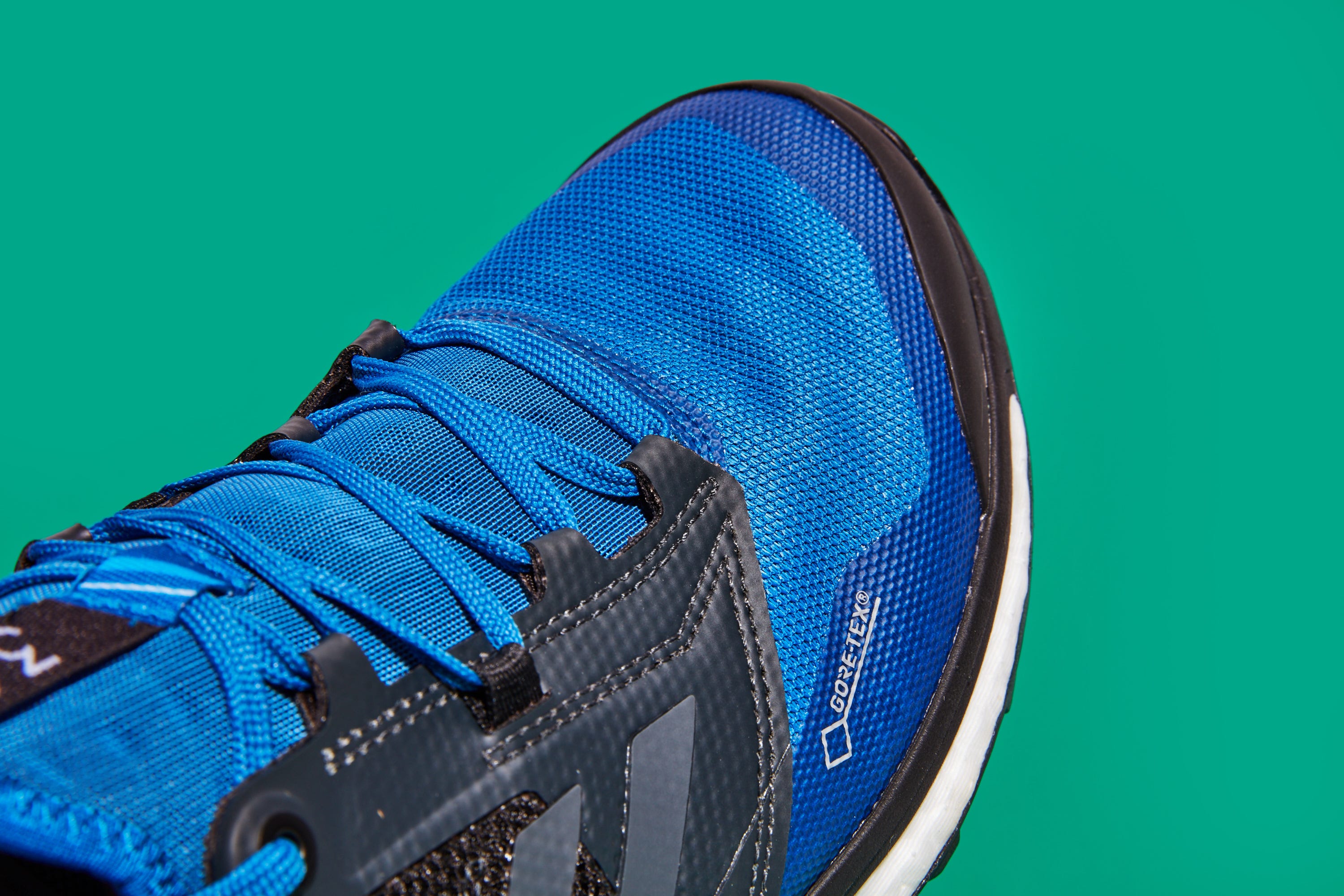 Adidas Terrex GTX