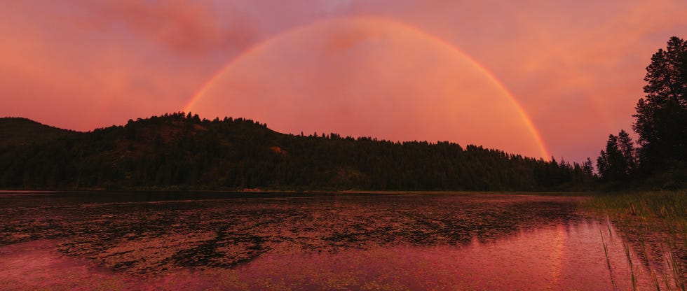 Adobe Stock for Pantone Colour of the Year 2019 - Living Coral