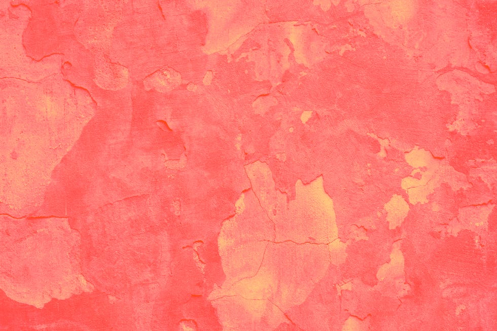 Adobe Stock for Pantone Colour of the Year 2019 - Living Coral