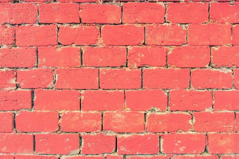 Adobe Stock for Pantone Colour of the Year 2019 - Living Coral