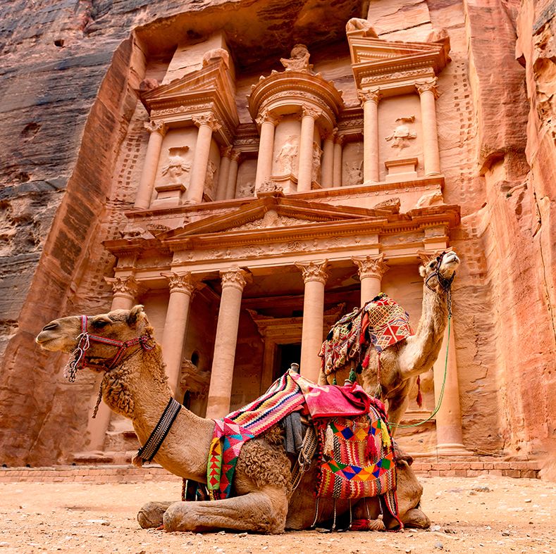 spectacular view of two beautiful camels in front of al khazneh the treasury at petra petra is a historical and archaeological city in southern jordan