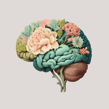 brain brain