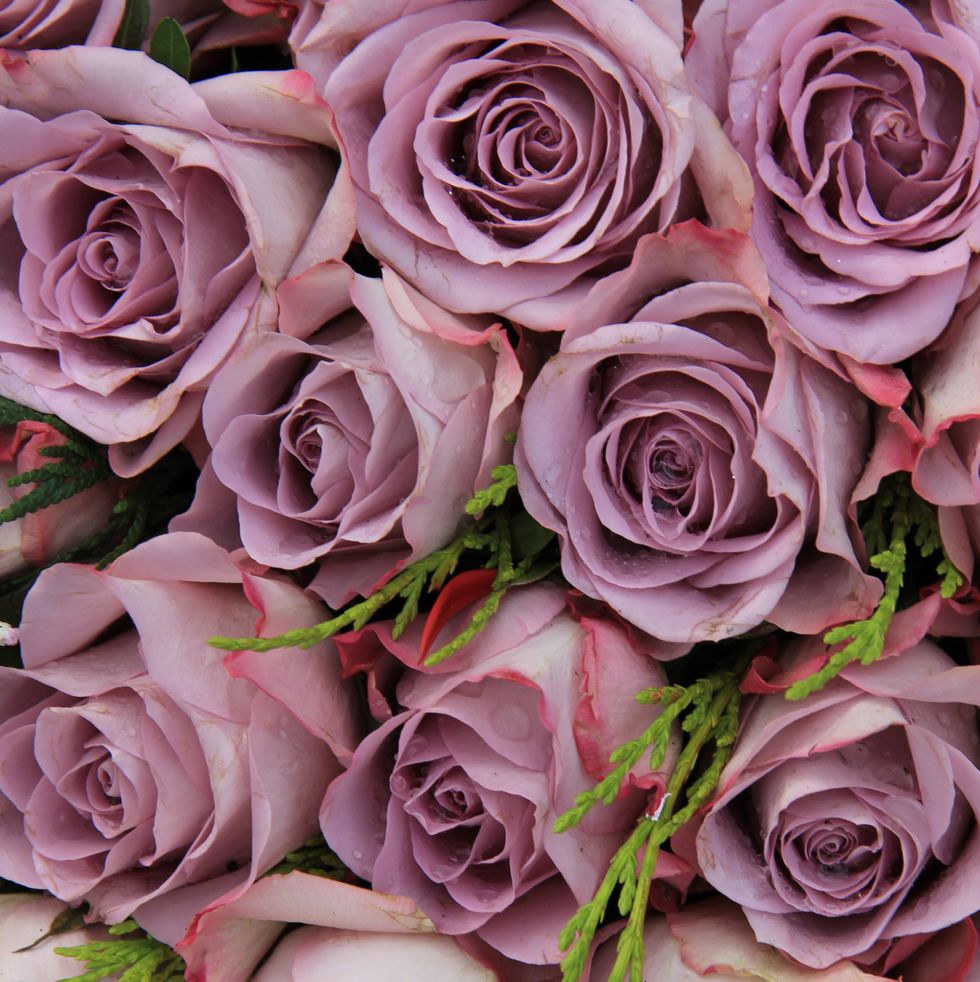 purple roses in a big centerpiece wedding arrangement