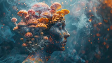conceptual image of person with semitransparent head revealing amanita mushrooms