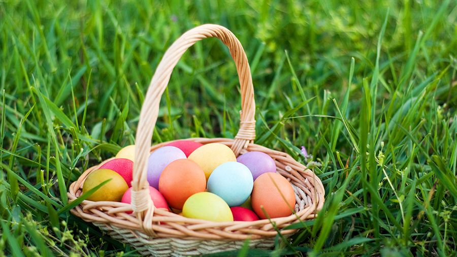 25 Fun Adult Easter Egg Hunt Ideas