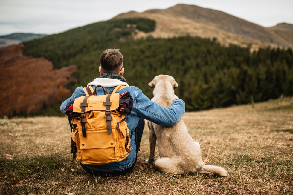 young hiker man sitting on the mountain peak with his shepherd dog, watching the landscape