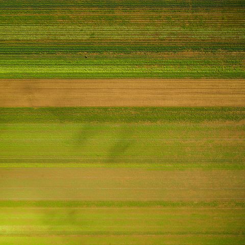 aerial photos farmland patterns 2