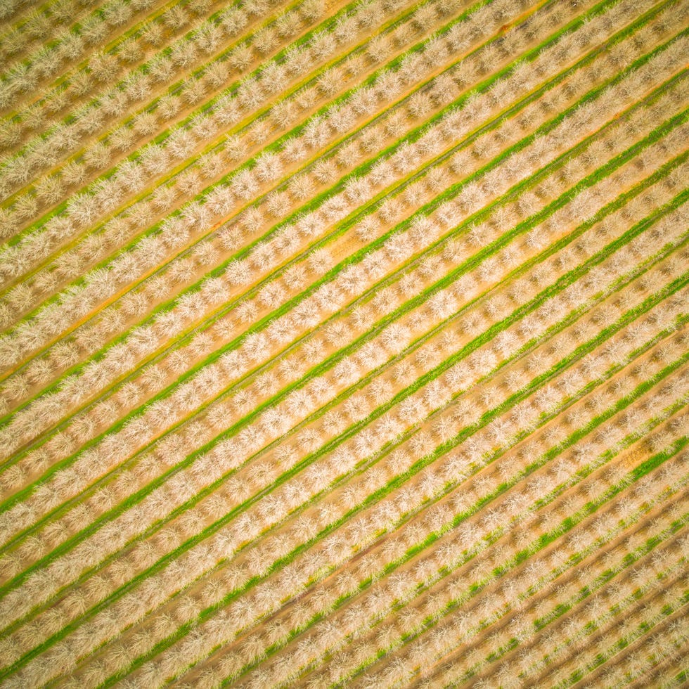 aerial photos farmland patterns