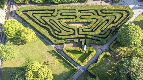 aerial photograph of the maze at hampton court palace showing part  of the wilderness