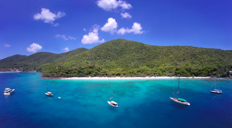 Why I Love the Unspoiled Beaches of St. John, With Family-Friendly Villas,  Crystalline Waters, and Wild Sea Turtles