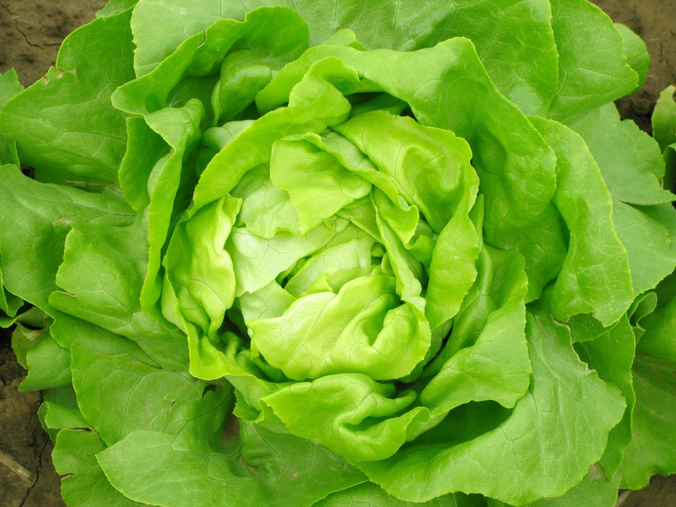 food for heart health
