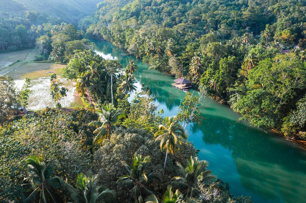 aerial view of loboc river and jungle, bohol, philippines