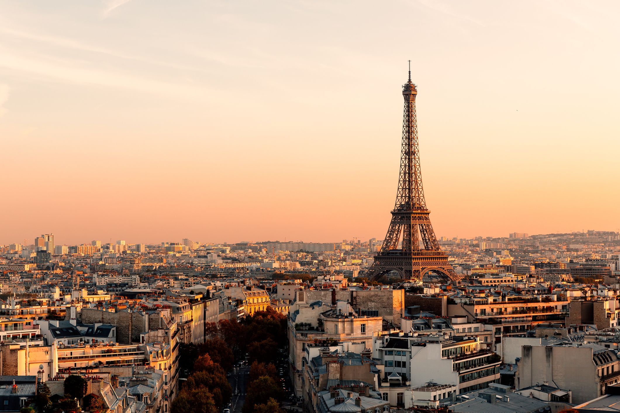 Maori check dry T&C Travel Guide: Paris in the Summer
