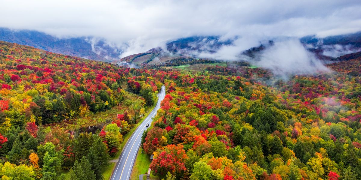 Why New England Has Brighter Fall Leaves Than Anywhere Else on Earth