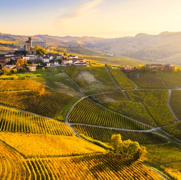 Alba Piemonte alba piemonte