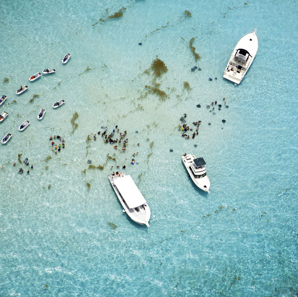 aerial view of stingrays at stingray city on grand cayman