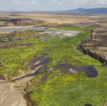 aerial view of suguta river in the great rift valley kenya