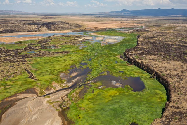 Континентальный раскол 2024. Континентальный разлом. Great Rift Valley two Continents. Great Rift Valley на каких континентах. Вирус Долины рифт.