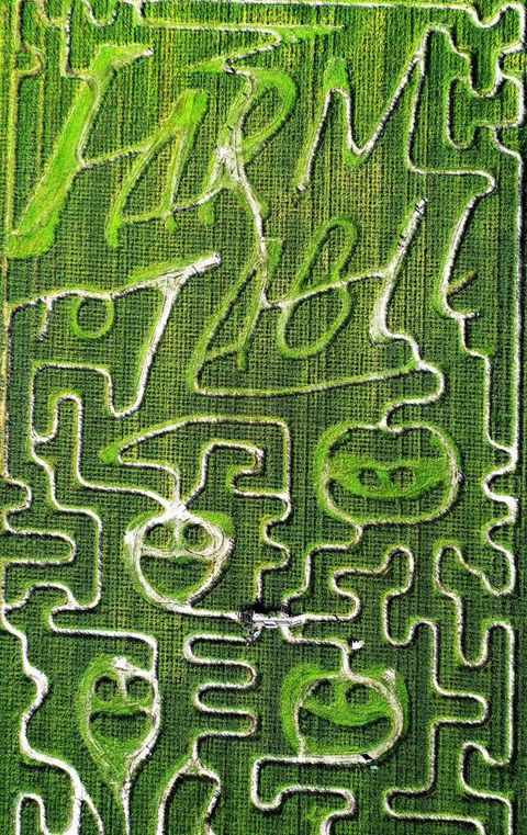 corn maze near me