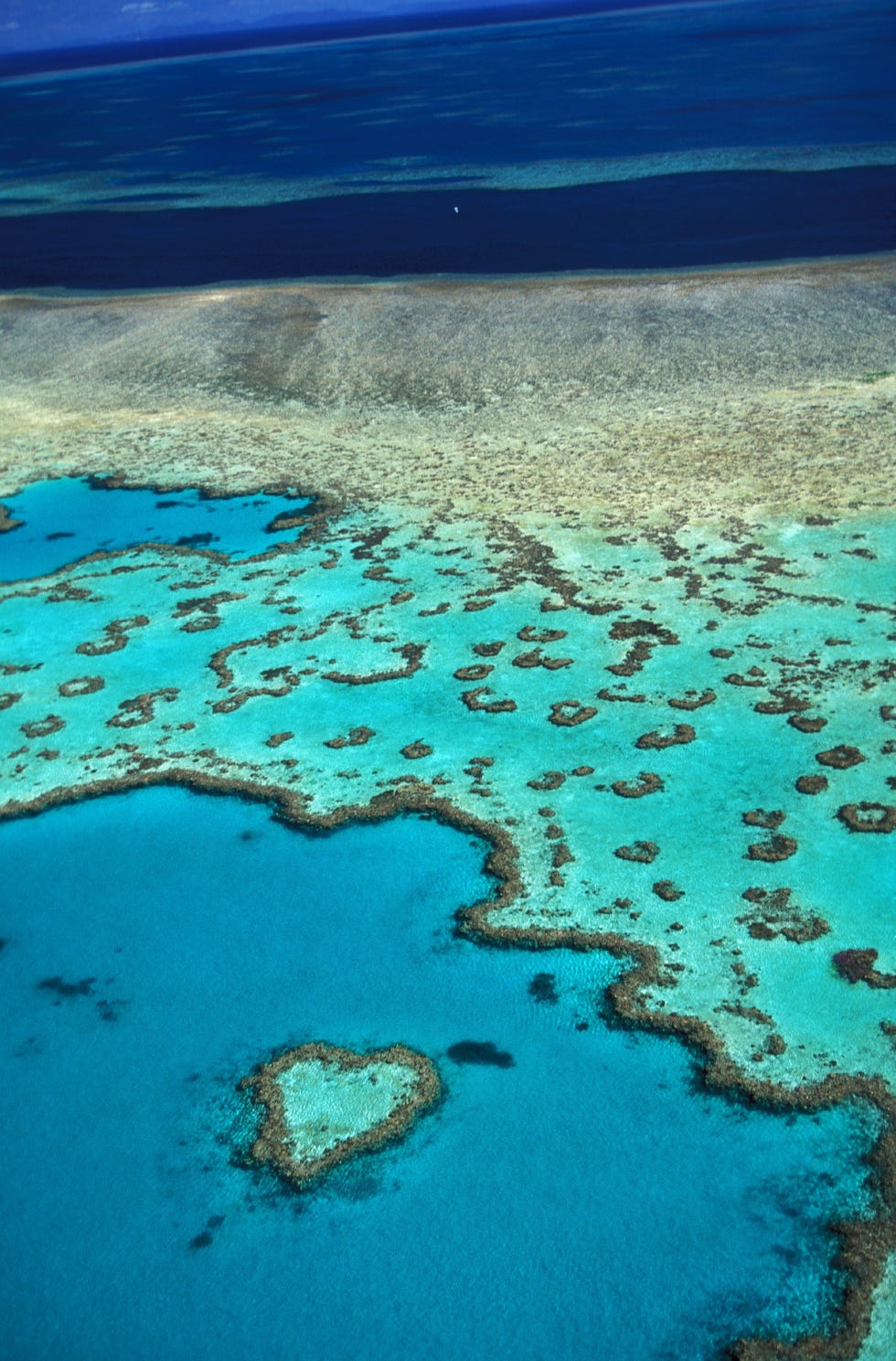 Avustralya Queensland'deki Büyük Bariyer Resifi