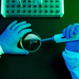 aerial view of the hands of a scientist pouring fluid with the pipette into a petri dish in a laboratory with a green atmosphere