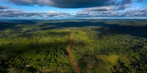 TOPSHOT-DOUNIAMAG-BRAZIL-AMAZONIA-DEFORESTATION
