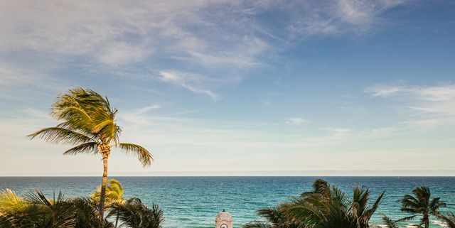 Palm Beach, Florida Travel Guide - Where to Stay, Eat, and Do in Palm Beach