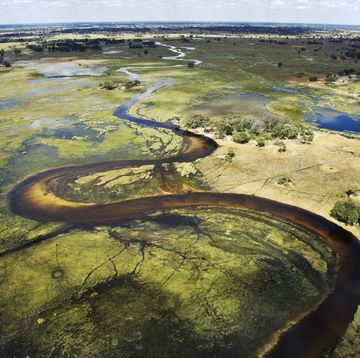 de okavangodelta in botswana