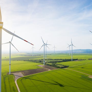 windmolens in de polder